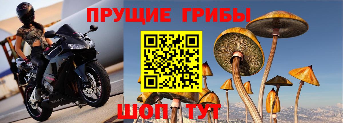 Нефтекумск  продажа наркотиков  Галлюциногенные грибы мухоморы  Вход с VPN  Псилоцибиновые грибы Cubensis 
